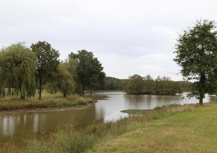 Exploitation céréalière & forestière