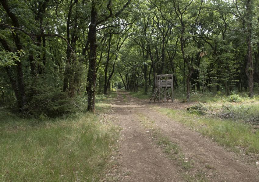 Domaine de chasse en Charente-Maritime