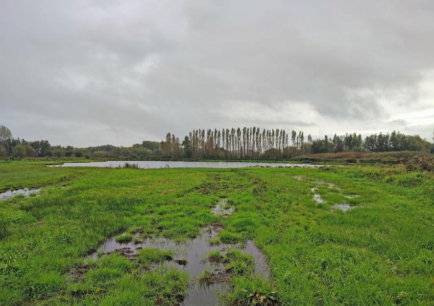 Propriété rurale dans Le Pas-de-Calais