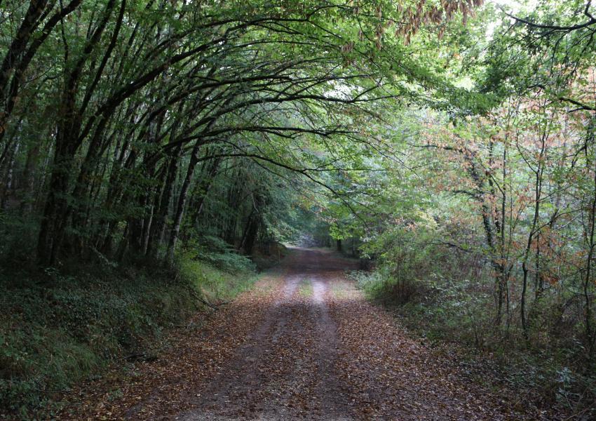 Grand étang et sa cabane d'agrément en Dordogne