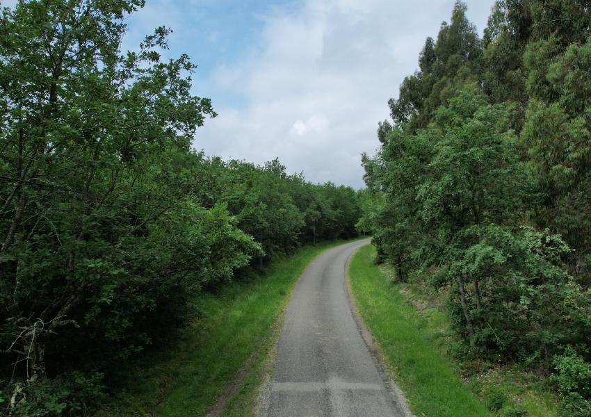 Forêt de feuillus en Haute-Garonne