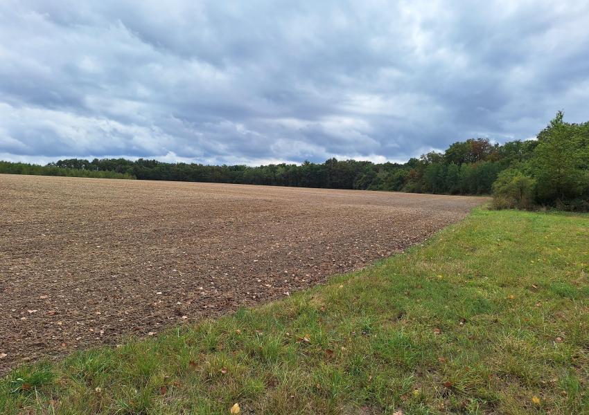 Exploitation céréalière & forestière