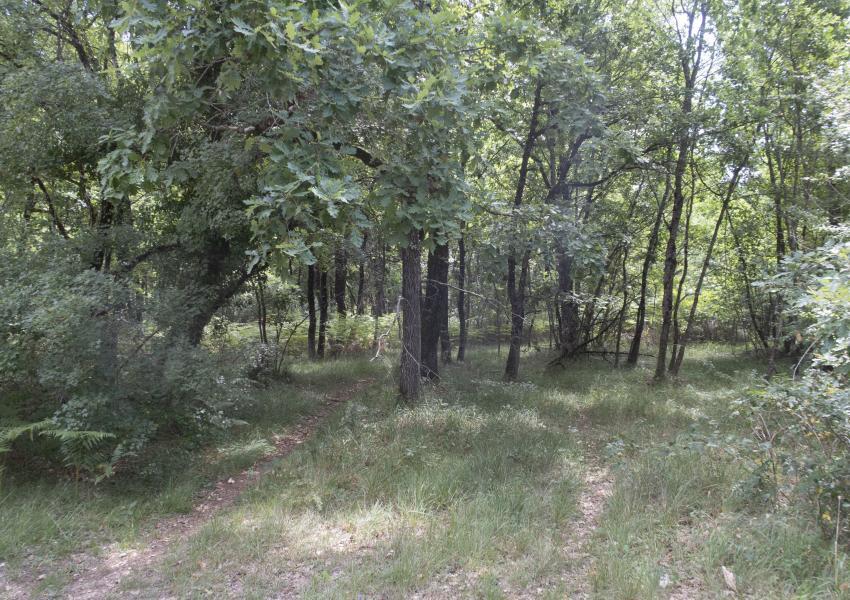 Domaine de chasse en Charente-Maritime