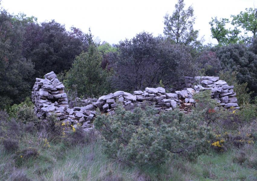 Plateau dans le cœur de l'Hérault