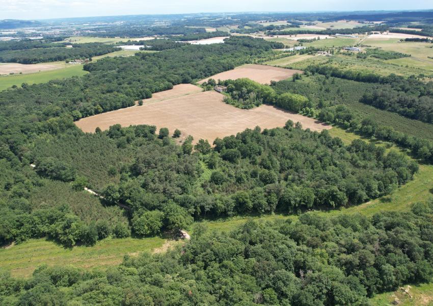 Propriété forestière dans le Lot-et-Garonne