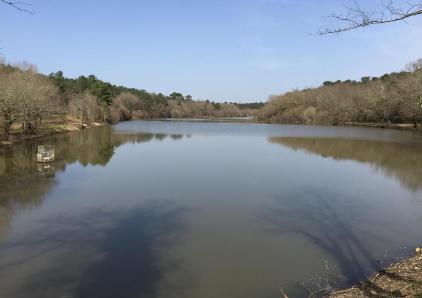 Grand étang et sa cabane d'agrément en Dordogne
