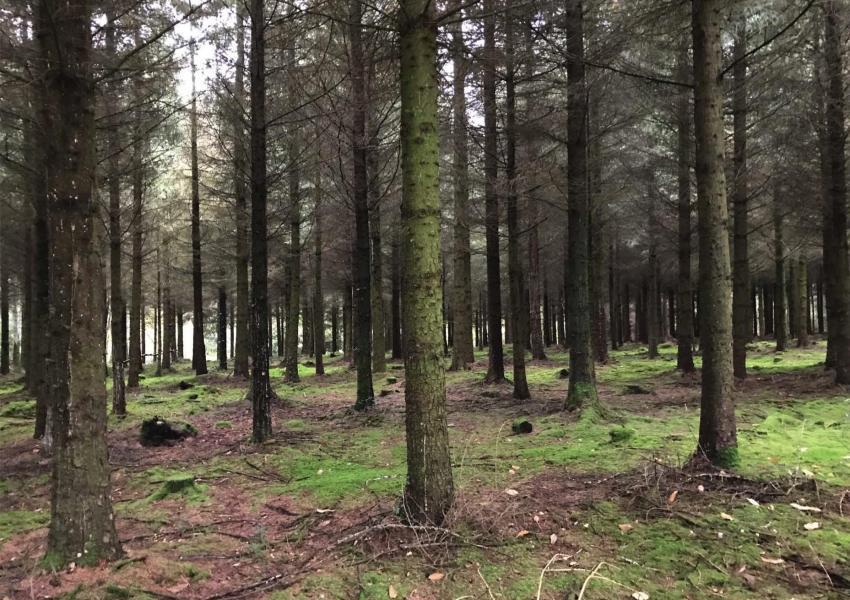 Domaine d'exception dans le département du Finistère