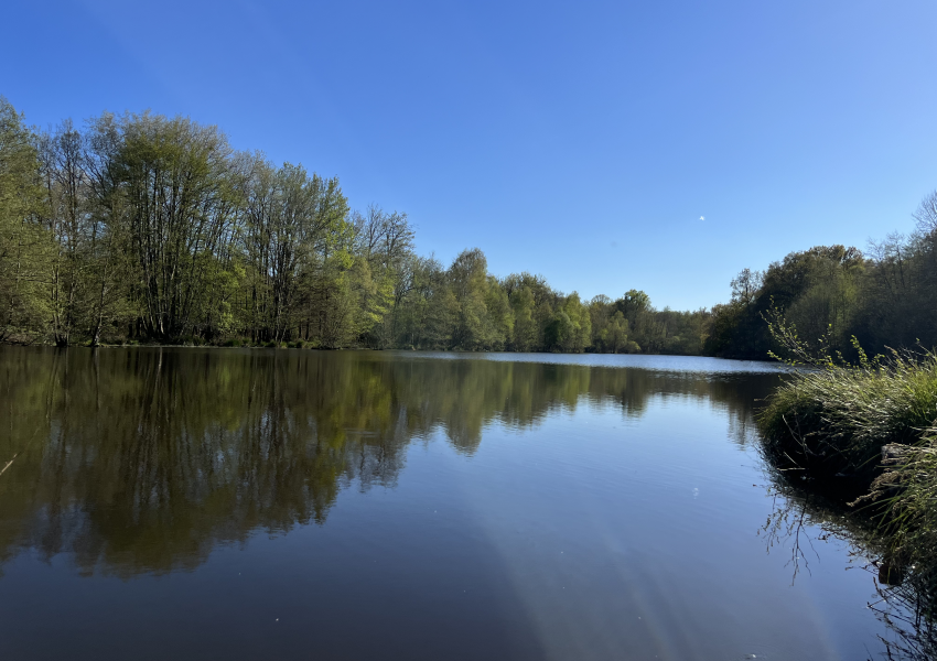 Domaine de chasse aux portes de la Sologne