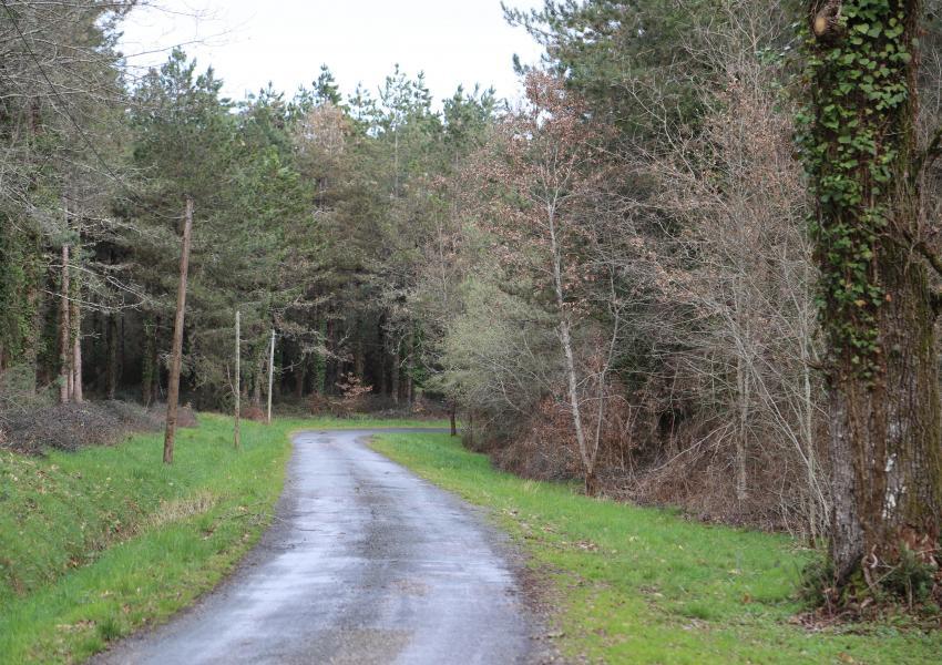 Domaine forestier avec bâtis en Dordogne