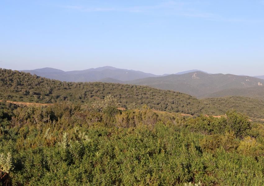 Massif forestier méditerranéen de 404 hectares