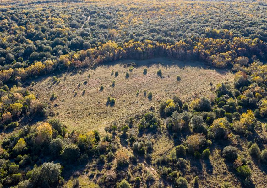 Forêt de loisirs au coeur du Gard