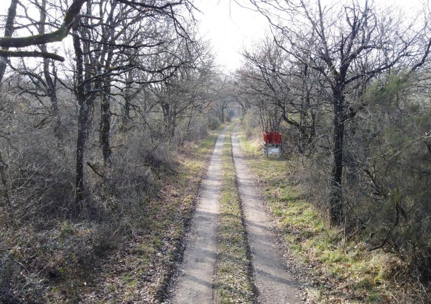 Propriété forestière dans le Parc Naturel Loire-Anjou-Touraine