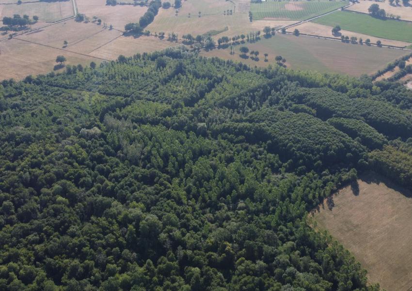 Domaine agricole et forestier proche de Clermont-Ferrand