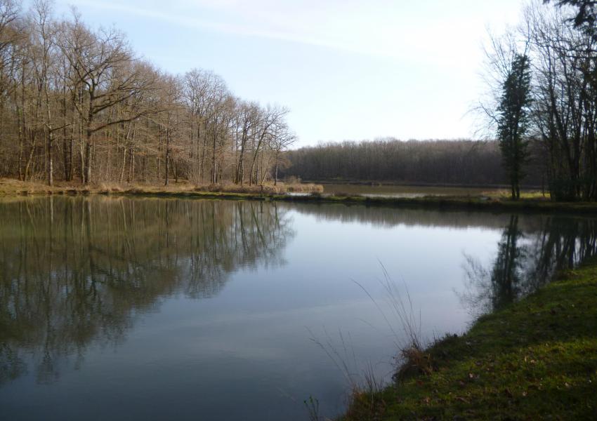 Propriété rurale avec bâtis et étang en Charente