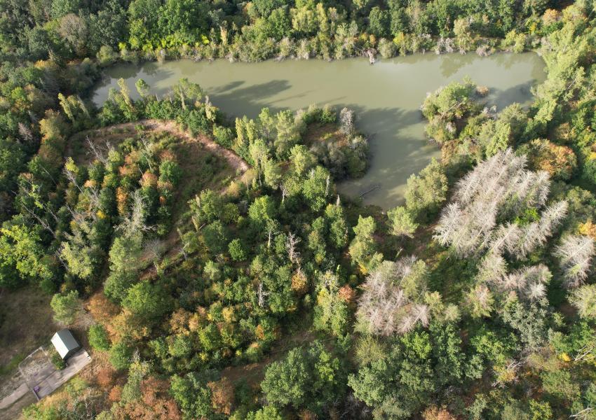 Propriété clôturée avec bâtis en Dordogne