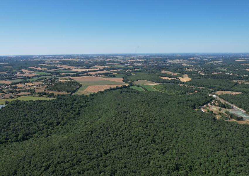 Propriété Forestière aux portes de Toulouse