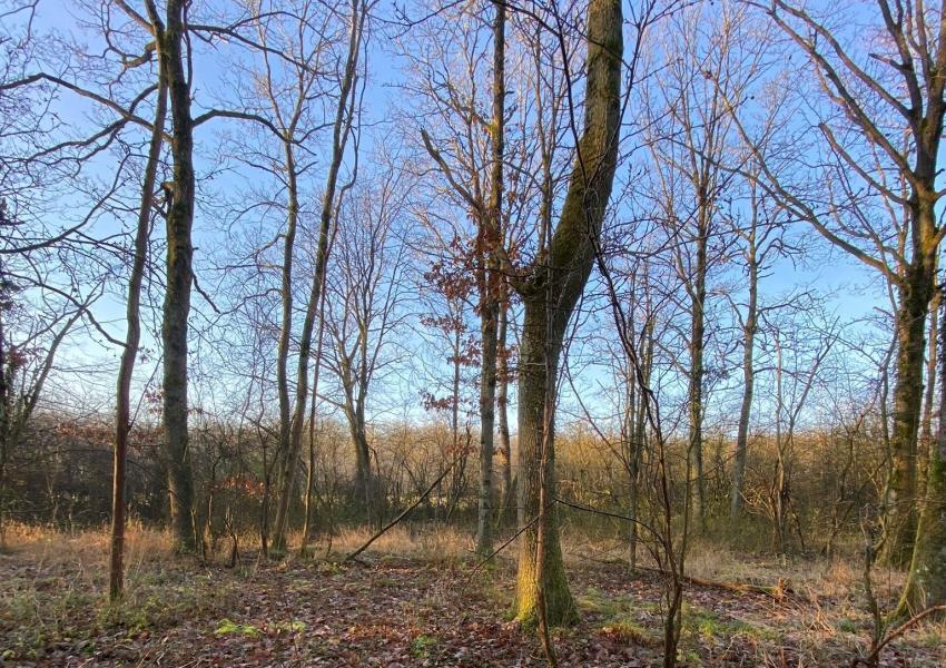 Propriété rurale au cœur de l'Essonne