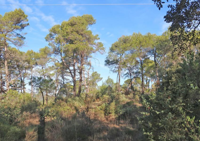 Propriété de loisirs en Provence Verte