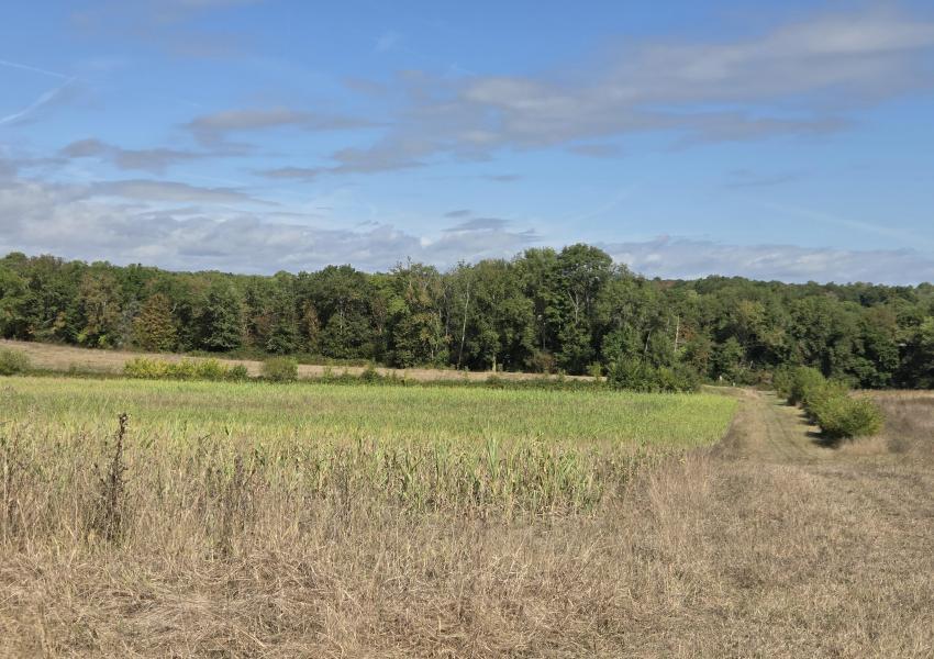 Propriété agricole et forestière proche de Saint-Émilion