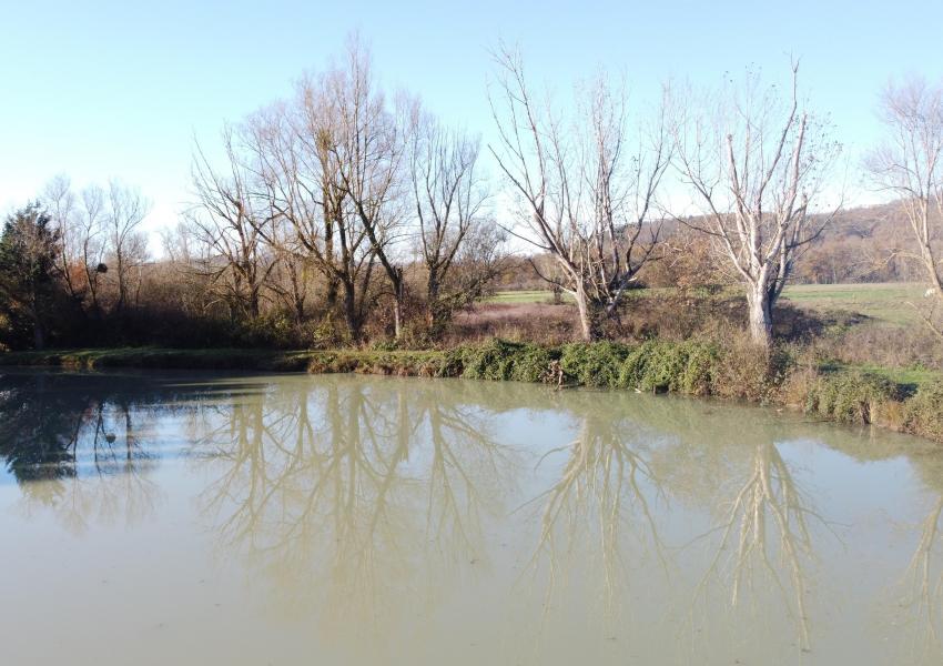 Étang de pêche proche de Clermont-Ferrand
