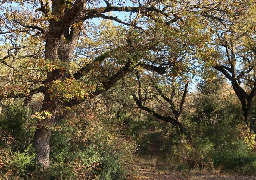 Propriété de loisirs en Provence Verte