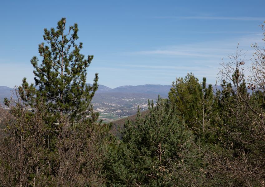 Domaine Forestier Provençal