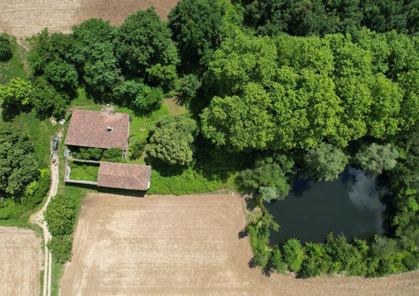 Propriété forestière dans le Lot-et-Garonne