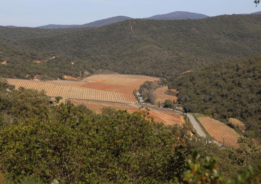 Massif forestier méditerranéen de 404 hectares