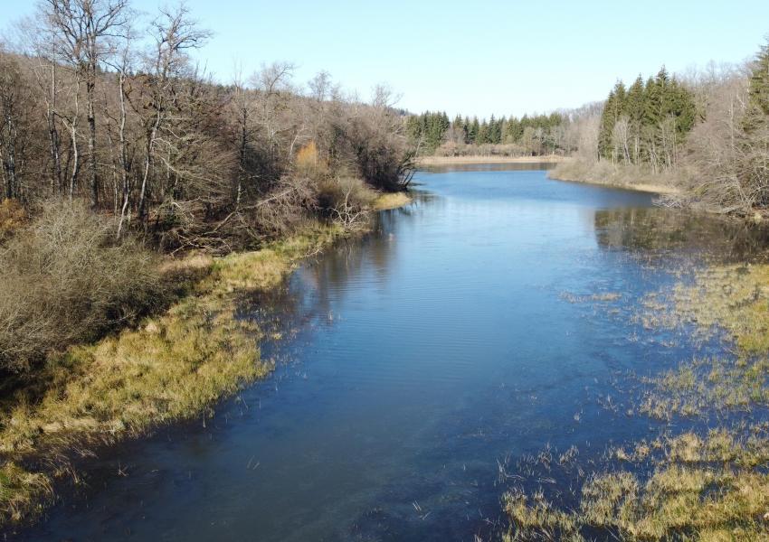 Propriété forestière avec étang