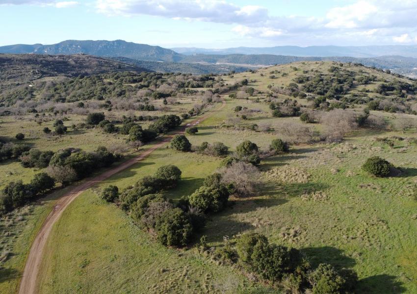Propriété agricole et forestière aux portes de Clermont-L'Hérault