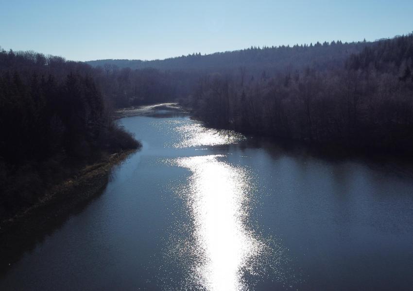 Propriété forestière avec étang