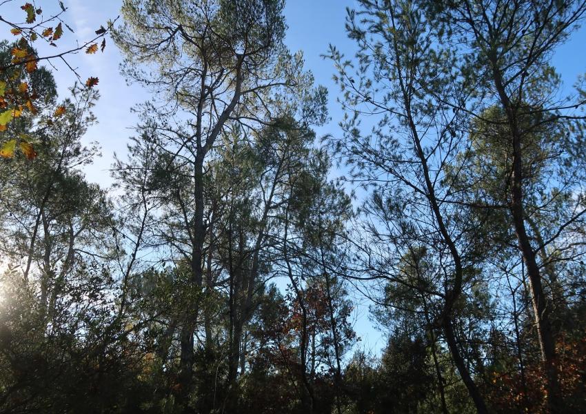 Propriété de loisirs en Provence Verte