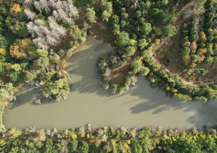 Propriété clôturée avec bâtis en Dordogne