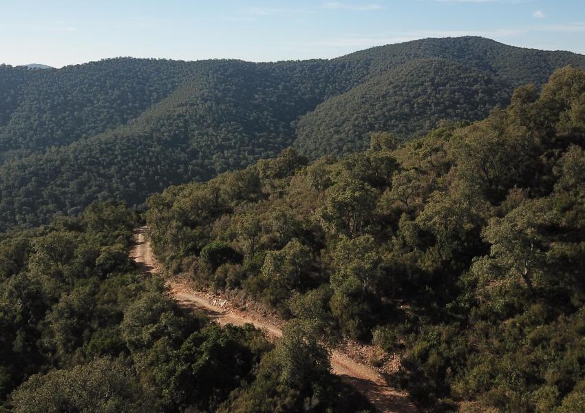 Massif forestier méditerranéen de 404 hectares