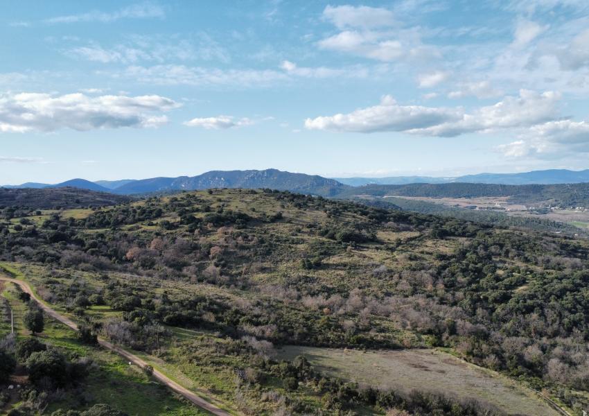 Propriété agricole et forestière aux portes de Clermont-L'Hérault