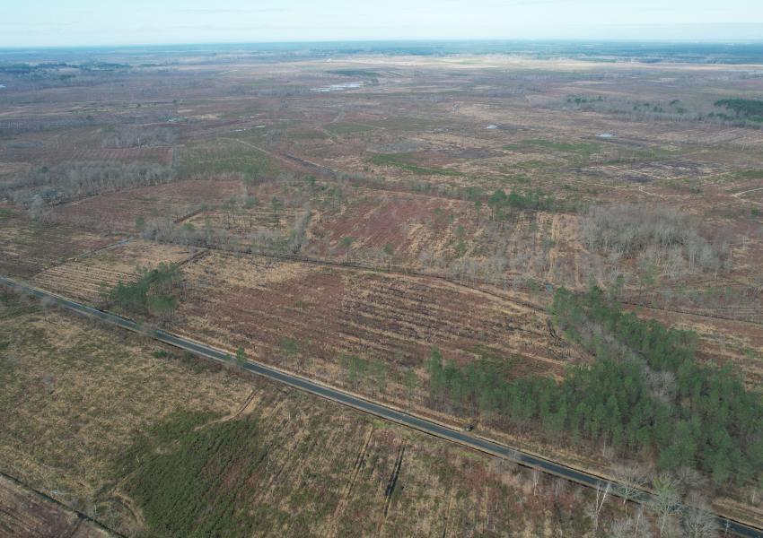 Propriété forestière en Gironde