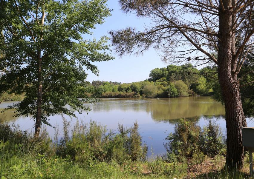 Enclos cynégétique en Dordogne