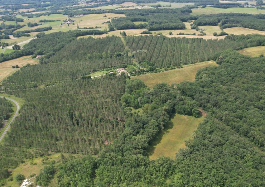 Forêt de production dans Le Lot-et-Garonne