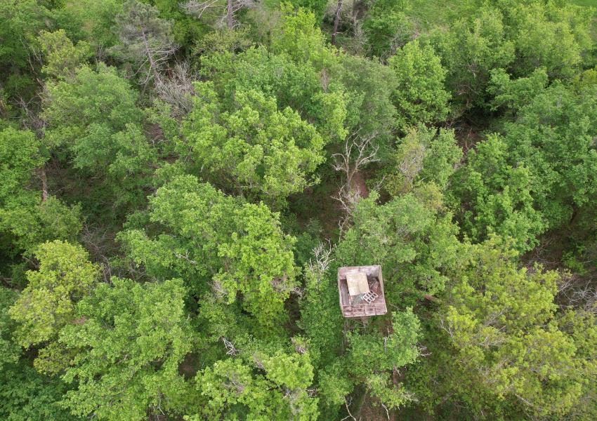 Maison de Maître avec sa forêt en Dordogne