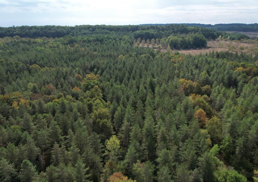 Propriété agricole et forestière proche de Saint-Émilion