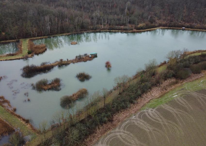 Étang avec hutte de chasse dans La Marne