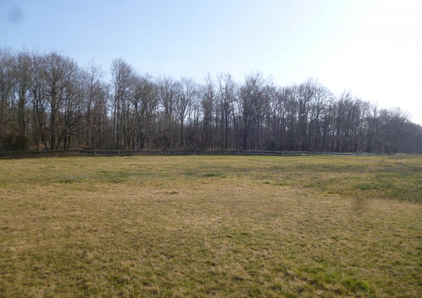 Propriété rurale avec bâtis et étang en Charente