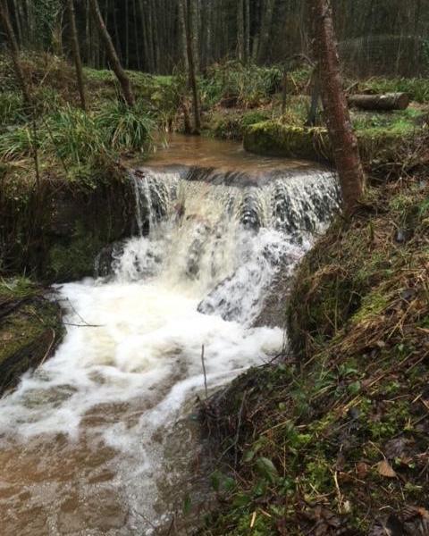 Ancienne pisciculture