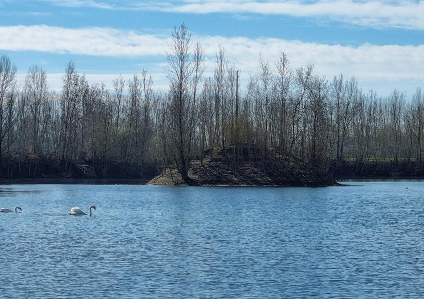 Ancienne gravière de 12 ha proche de Toulouse