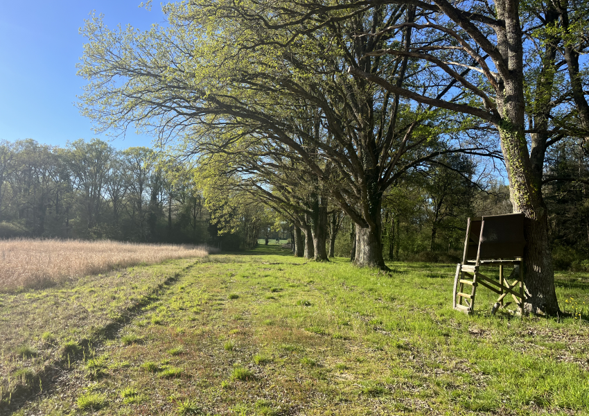 Domaine de chasse aux portes de la Sologne