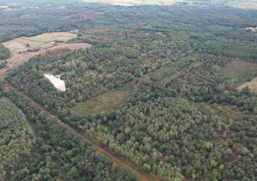 Propriété clôturée avec bâtis en Dordogne