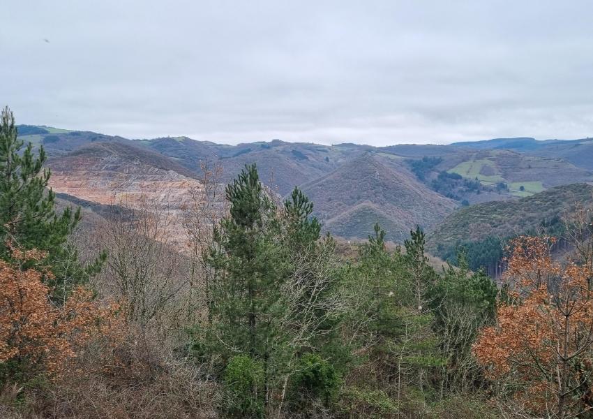 Domaine forestier en Aveyron