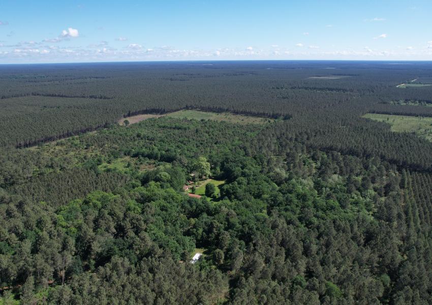 Propriété bâtie en bordure d'océan et au cœur des pins
