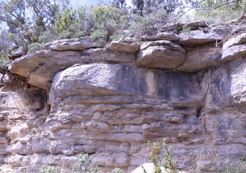Plateau dans le cœur de l'Hérault