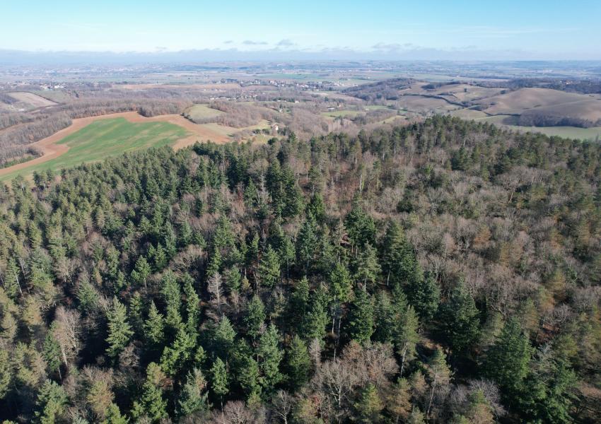 Domaine forestier proche de Toulouse